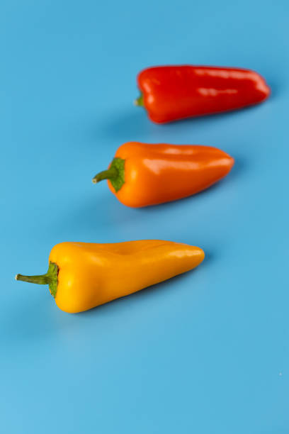 istock Vibrant Array of Colorful Peppers on a Bright Blue Background: Red, Orange, and Yellow Mini Peppers Displaying Freshness and Culinary Potential 2200048510