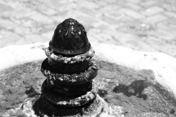 A Black and White close-up protocolo of bee flying around an ole fountain