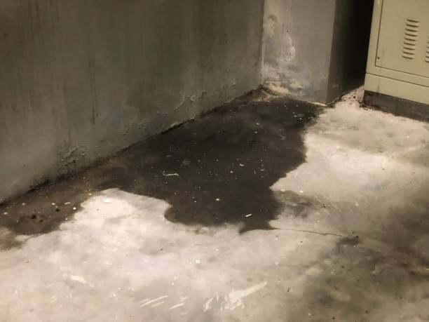 istock photo of rainwater seepage 2200053280