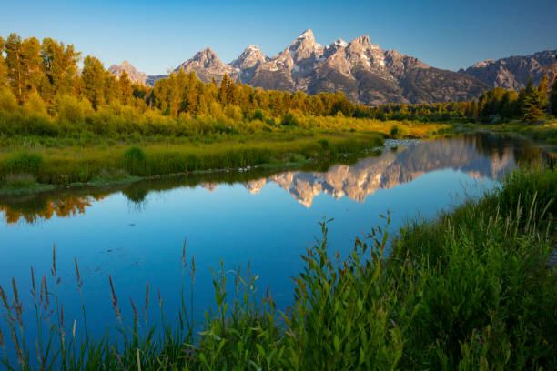 istock Schwabacher Landing 2200053387