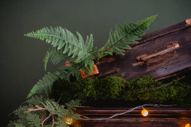 istock Cedar trunk adorned with ferns and warm string lights by the water 2200065876