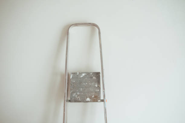 A metallic ladder leans against a white wall, suggesting home improvement activities.