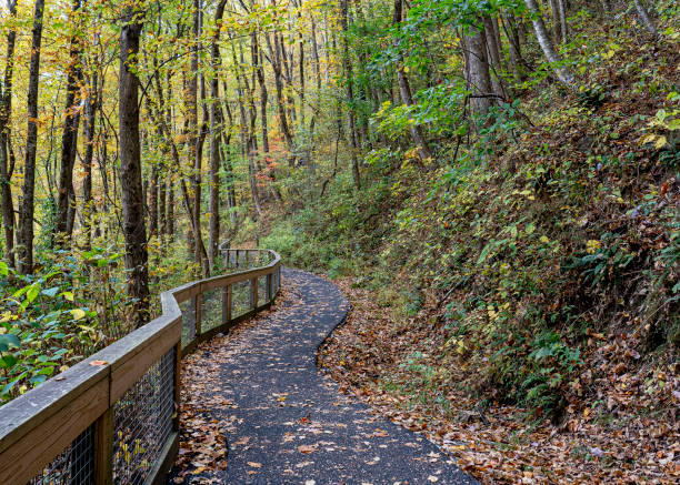 istock The West Ridge Falls Access Trail is an ADA-compliant pathway that leads to a scenic viewpoint of the waterfall. It is made of recycled tire material and has a wood handrail. Photographed in autumn. 2200068381