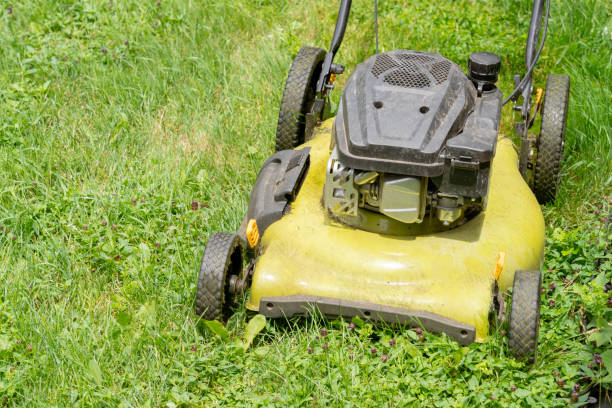 istock Yellow lawn mower cutting fresh green grass 2200070810