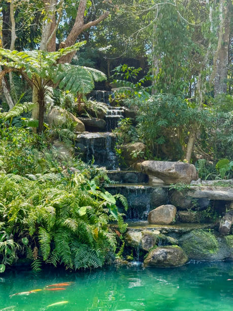 istock Turquoise Pond with Koi Fish and Waterfall Surrounded by Lush Vegetation 2200082731