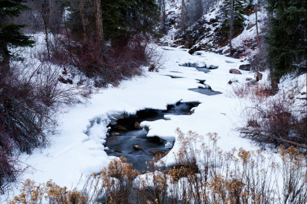 Ice and Snow Along Mountain Creek - Winter landscape in wilderness area with creek flowing through valley with fresh snow.