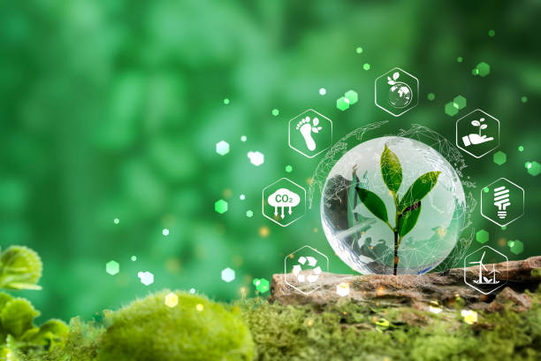 Crystal earth ESG concept ,Sustainable development goal (SDGs) Ideas Globe Glass on green Moss in forest
