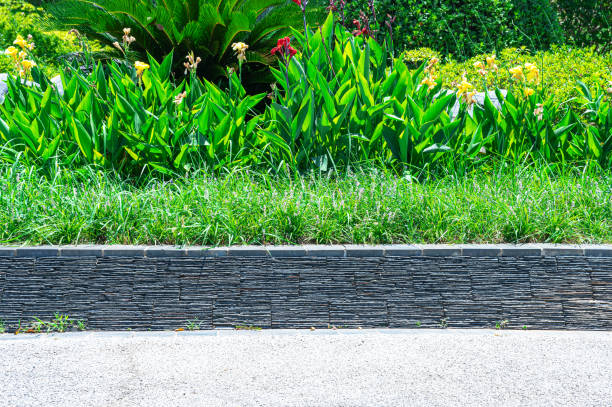 Spring background with blooming flowers in the flowerbed