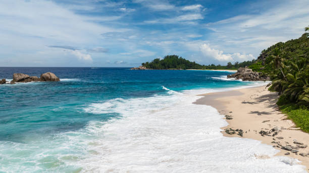 istock Emerald ocean with white waves crashing on sandy shore and palm trees. Seychelles, Mahe. 2200096932