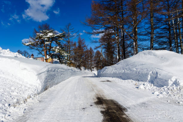 istock A snow-cleared road through trees on a sunny winters day (Madarao, Japan) 2200097033
