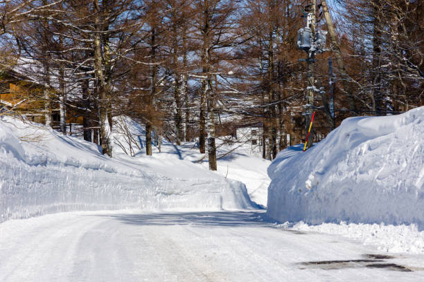 istock A snow-cleared road through trees on a sunny winters day (Madarao, Japan) 2200097054