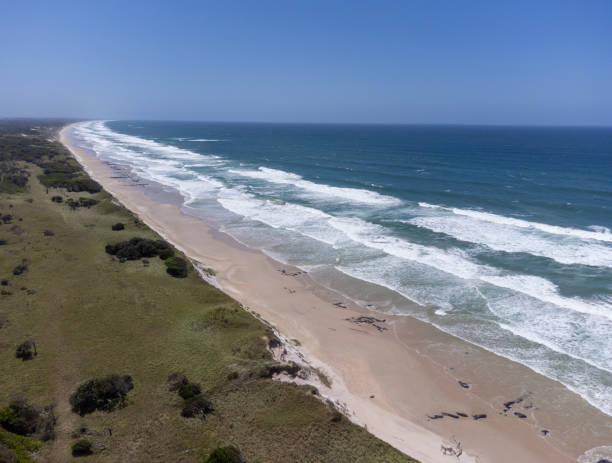 istock Aerial Untouched Wilderness beach 2200098986