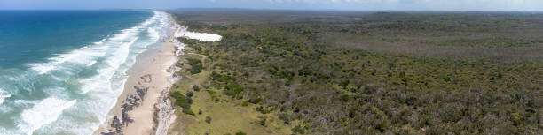 istock Aerial Untouched Wilderness beach 2200098998