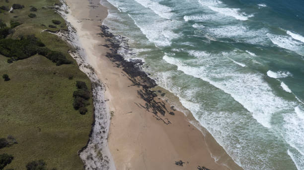 istock Aerial Untouched Wilderness beach 2200099019