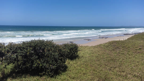 istock Aerial Untouched Wilderness beach 2200099021