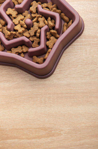 istock Slow feeder dog bowl reducing bloating and improving digestion 2200105330