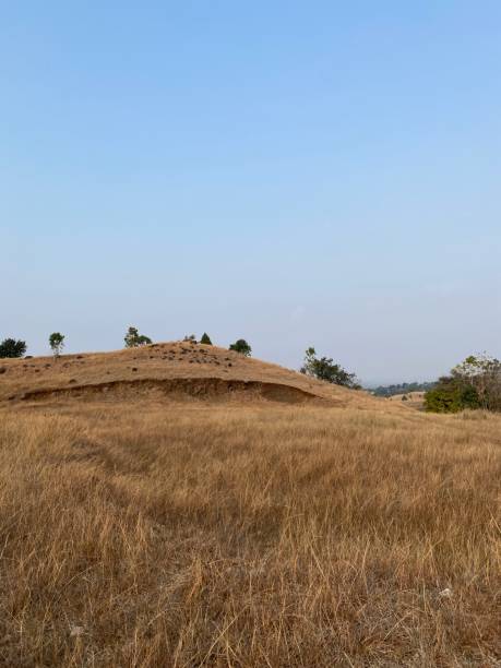 istock The Mountain View with the yellow grass 2200107937