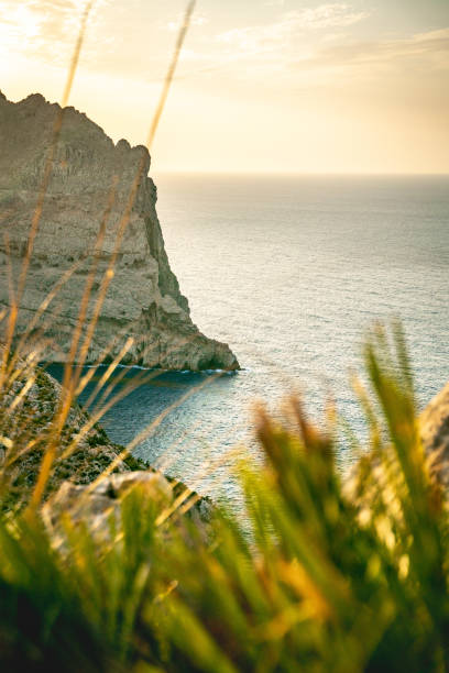 Cap Formentor on Mallorca offers breathtaking views, which become even more spectacular at sunset. The last rays of sunlight bathe the rugged cliffs in warm golden and orange hues, while the Mediterranean sparkles in the distance. Soft light highlights the dramatic landscape, and the sky displays a stunning palette of pink, purple, and blue. This image captures the majestic beauty of Mallorca’s coastline – a perfect subject for travel photography and Mediterranean landscape shots.