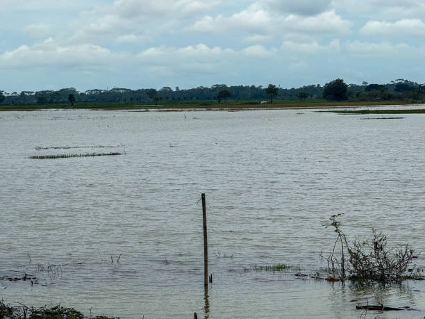 istock Flooded Landscape Under a Cloudy Sky 2200114035