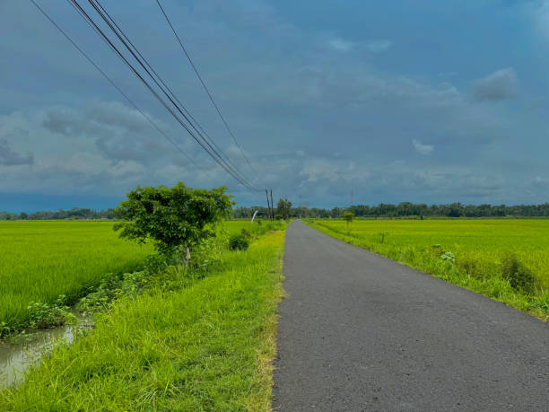 istock Rural Road Amidst Lush Green Rice Fields 2200114094