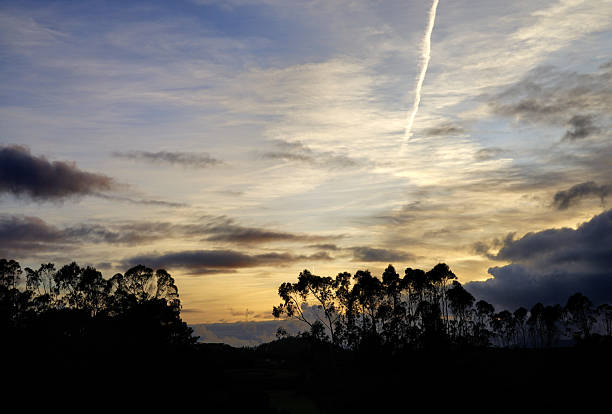 Between the Tree and the Horizon, through the fields in Sintra, Portugal