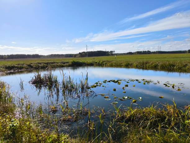 istock landscape with a pond in the field and a blue sky with clouds 2200119488