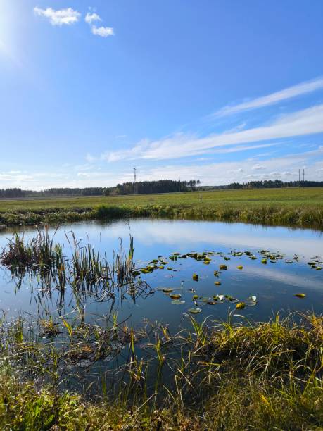 istock landscape with a pond in the field and a blue sky with clouds 2200119493