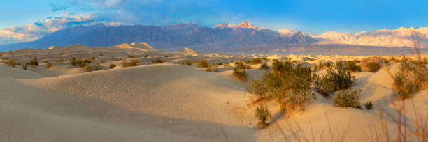 istock Mesquite flats in the death valley desert in sunset light 2200122137
