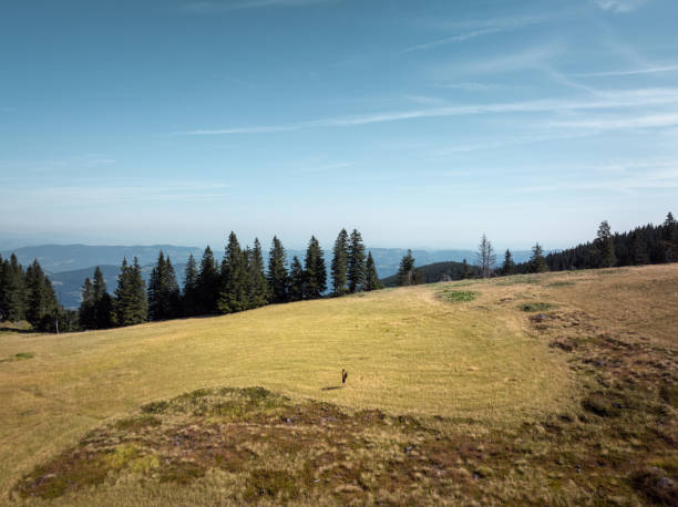 Man hiking in the dried grass of the Slovenian countryside (Pohorje, Slovenia).