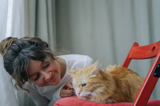 istock Young woman playing with ginger cat on red chair 2200125638