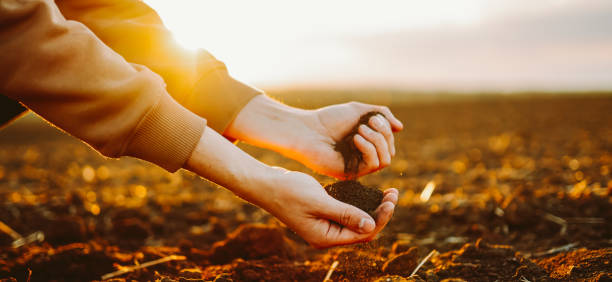 istock Soil in the hands of the farmer. 2200126661