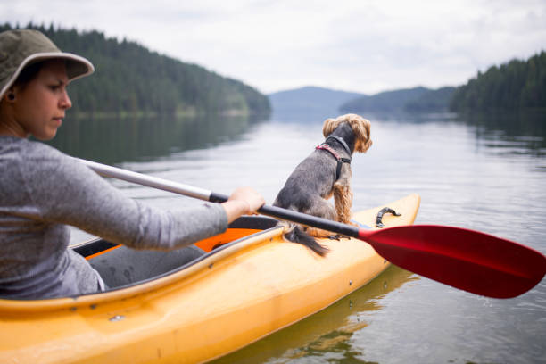 istock Woman kayaking on mountain lake with her dog. 2200126876