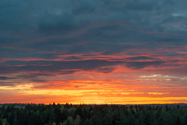 Colorful orange and dark blue dramatic clouds on sky during sunset over the forest horizon. Beautiful fabulous natural background