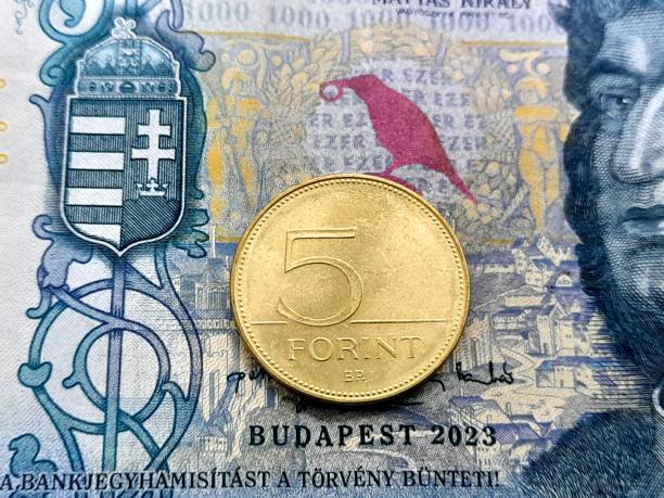 istock 5 forint coin with raven. 2200135399
