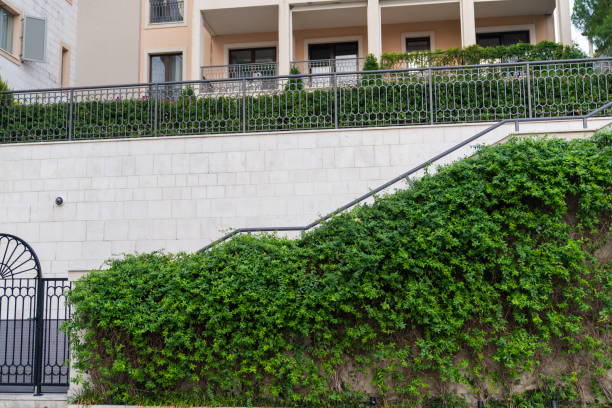Vertical garden on a green wall. Environmentally friendly urban space