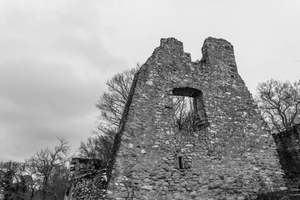 istock Ruins of an ancient stone structure surrounded by trees on a cloudy day in a historical site 2200140814