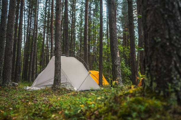 Autumn night camping in Maurice national park, Canada