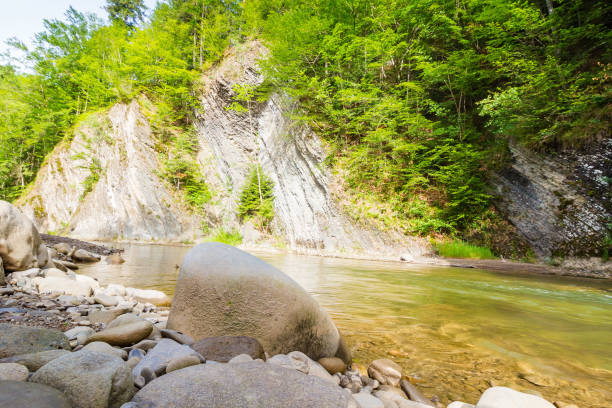 mountain river with stones on the shore. outdoor adventure. scenic landscape with forest on the rocky mountain slope. nature scenery on a sunny summer day. vacation season