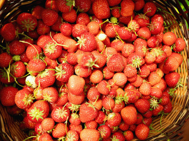 A big pile of fresh strawberries at an outdoor market in San Miguel de Allende, Mexico.