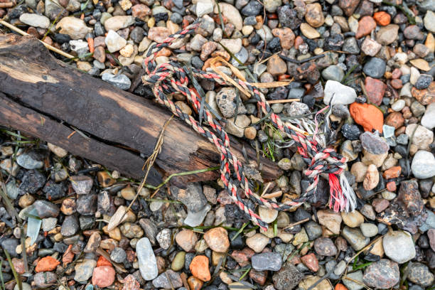 Discarded synthetic rope lies tangled on pebble beach, washed up from ocean, highlighting fishing net pollution and marine debris