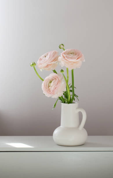 istock spring flowers in vase in white modern interior 2200151523