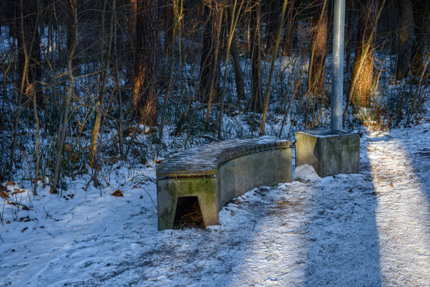 A winter scene in a forest with a snow-covered bench that has a small shelter underneath, possibly for animals, next to a lamppost.
