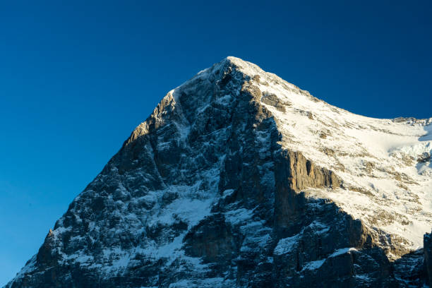 Green Meadows And Snowy Rocks At Grindelwald First, Switzerland