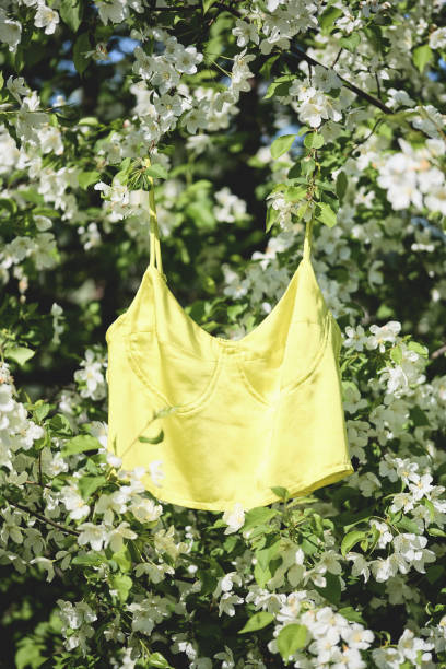 istock Bright yellow top hanging amidst blooming white flowers in spring 2200159677
