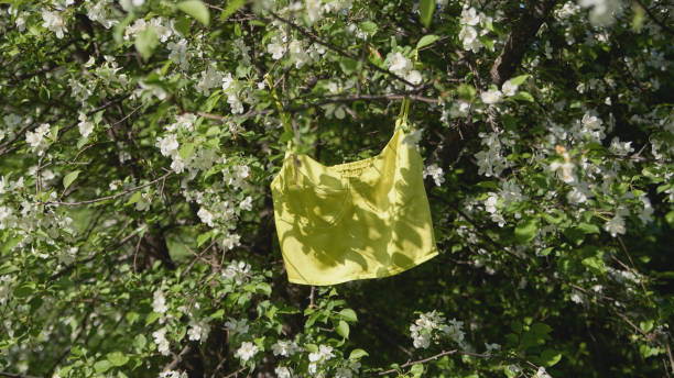 istock Yellow tank top hanging from a tree among white blossoms in springtime 2200159684