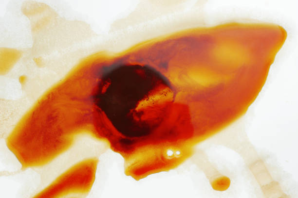 Prints of coffee spilled on white paper, top view. Conceptual photo