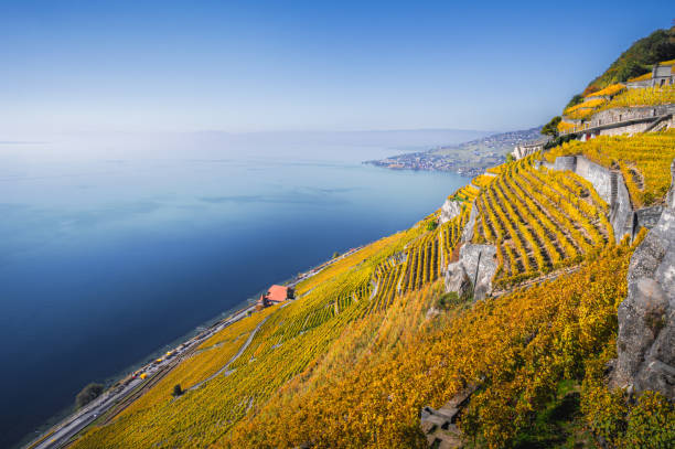 Walking path through vineyards in Laxaux area, Switzerland