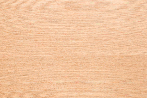 Light ash veneer wooden surface background. Closeup. Empty place for text. Top down view.