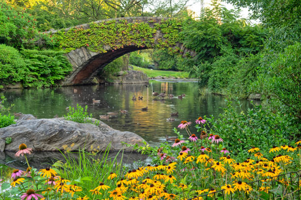 istock Gapstow Bridge in Central Park, summer 2200172368