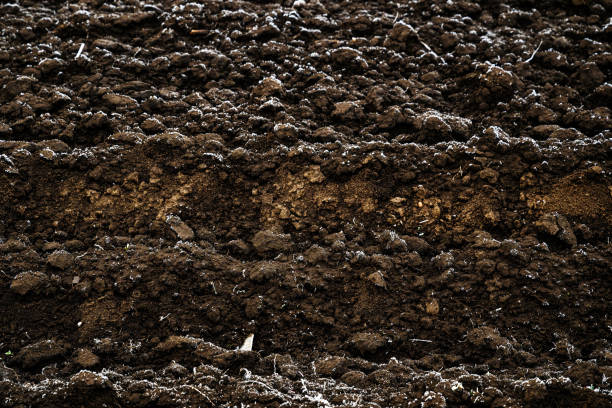 istock Frozen plowed field soil in winter 2200173169